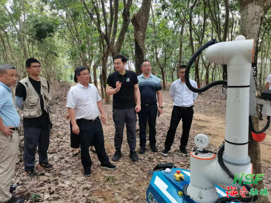 海垦集团考察团到中国热带农业科学院考察交流，将在林下经济方面深化合作